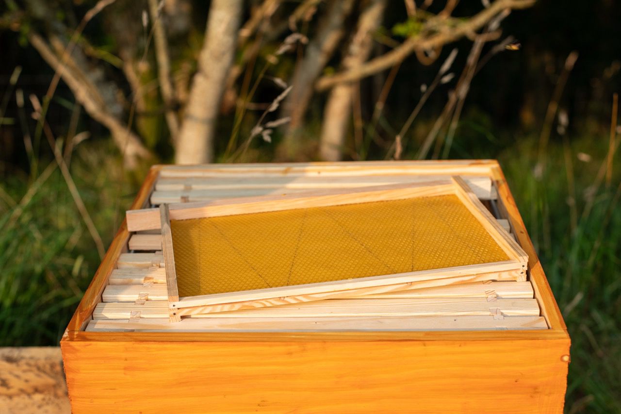 Artisan Apiary and Nature Immersion at Brecon Oak, Carmarthenshire - Brecon Oak