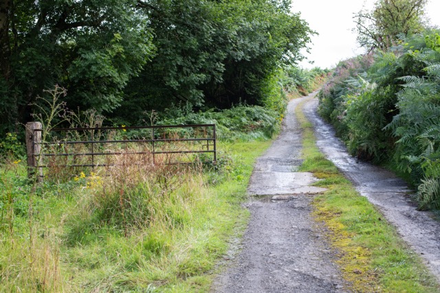 Idyllic Orchard Grounds at Brecon Oak in Carmarthenshire