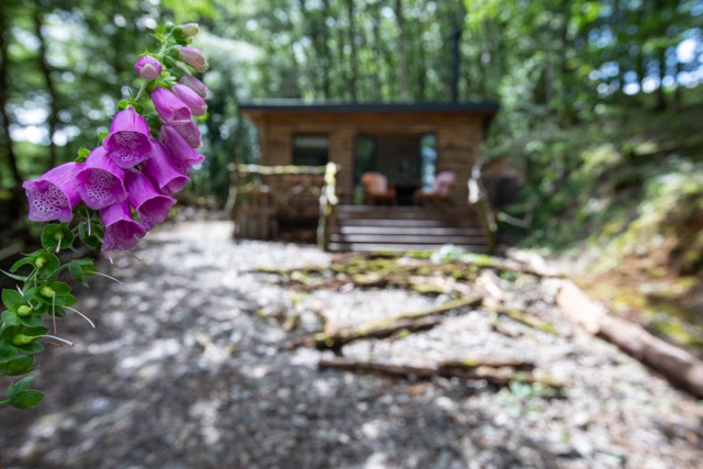 Brecon Oak Woodlands & Countryside Grounds