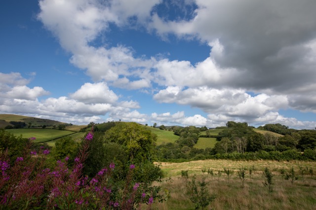 Brecon Oak Woodlands & Countryside Grounds
