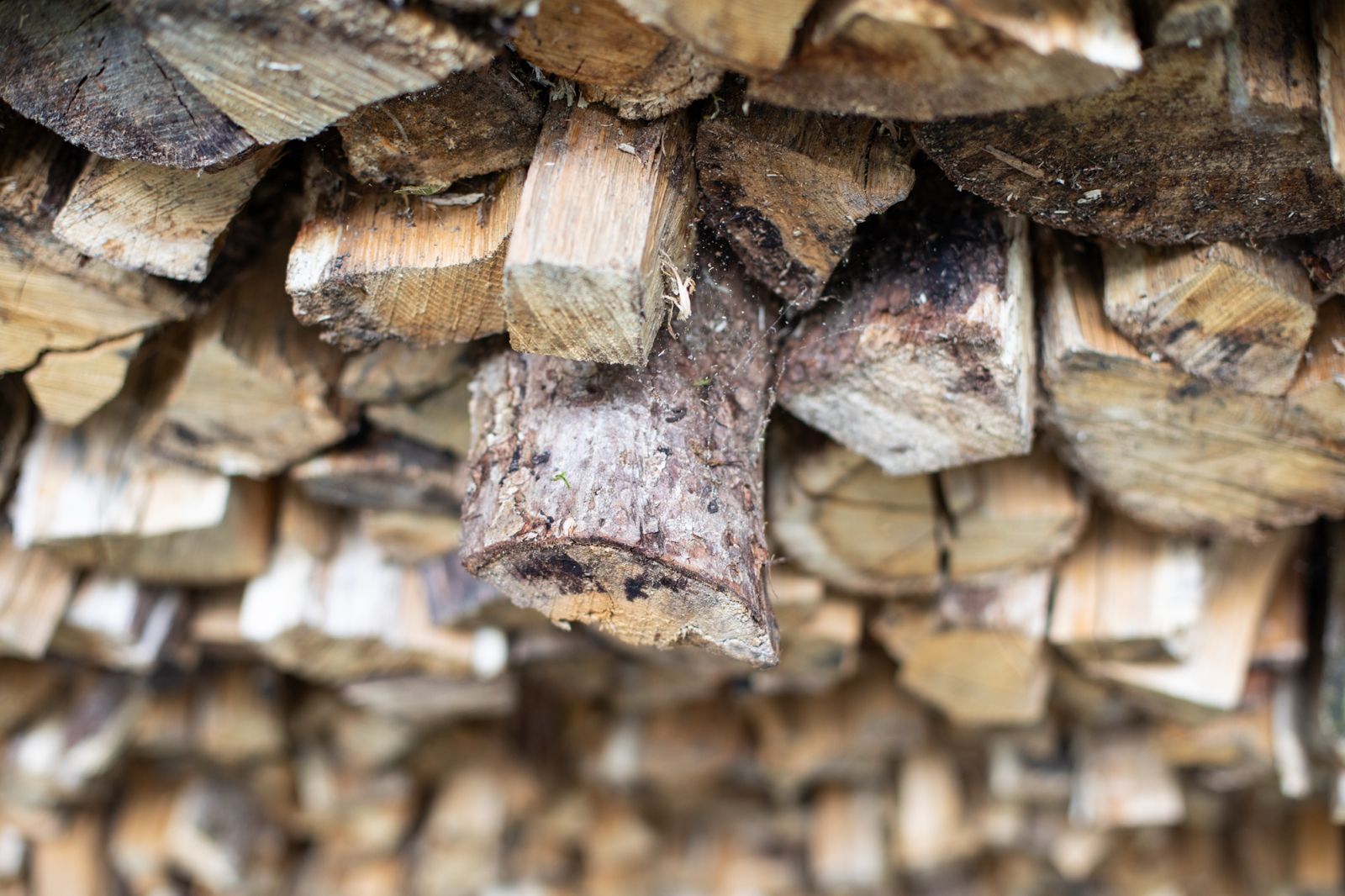 Neatly stacked seasoned logs and firewood beneath the cabin veranda