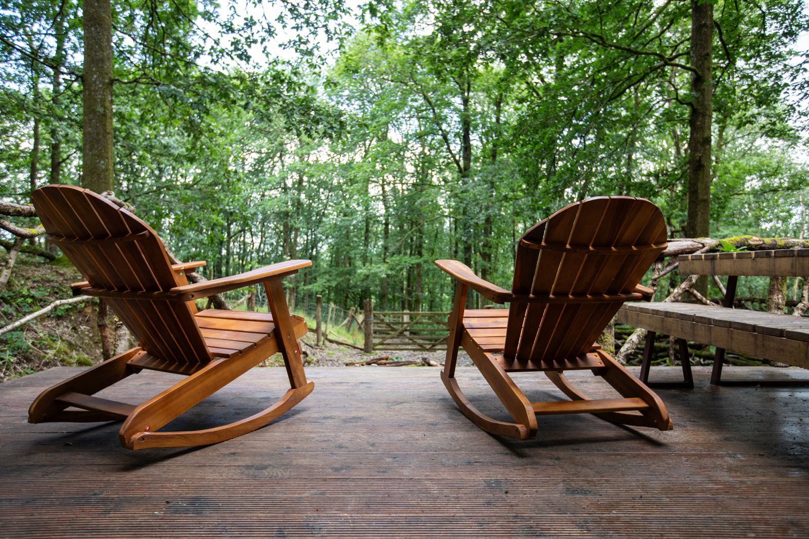 Two wooden rocking chairs on an expansive timber deck overlooking native forest
