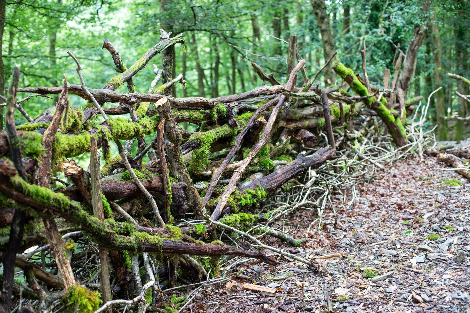 Handcrafted Natural Woodland Branch Boundary at Brecon Oak - Brecon Oak