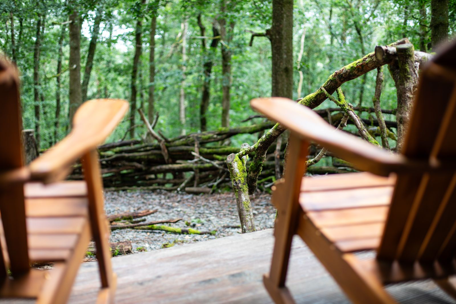 Bespoke natural branch balustrade framing tranquil native forest views from the cabin veranda