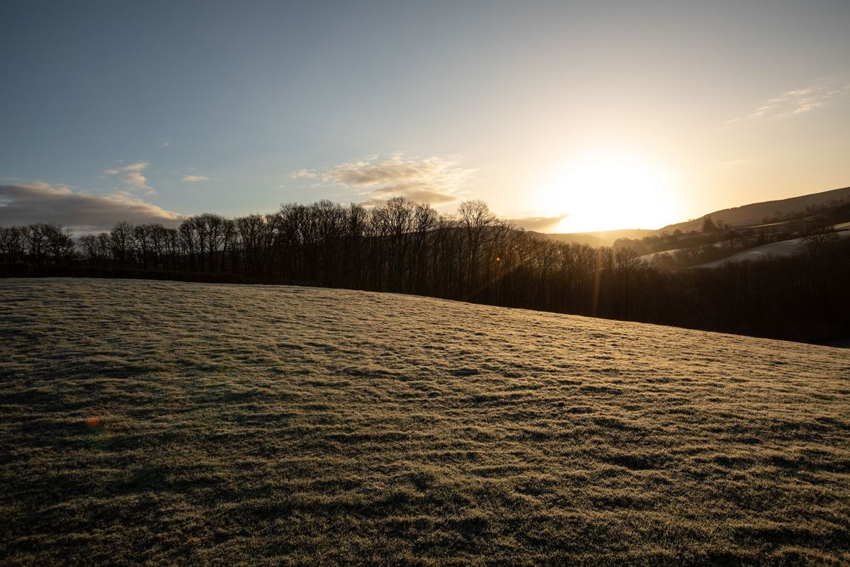 Golden morning sunrise over a frosty rolling hillside pasture in Carmarthenshire