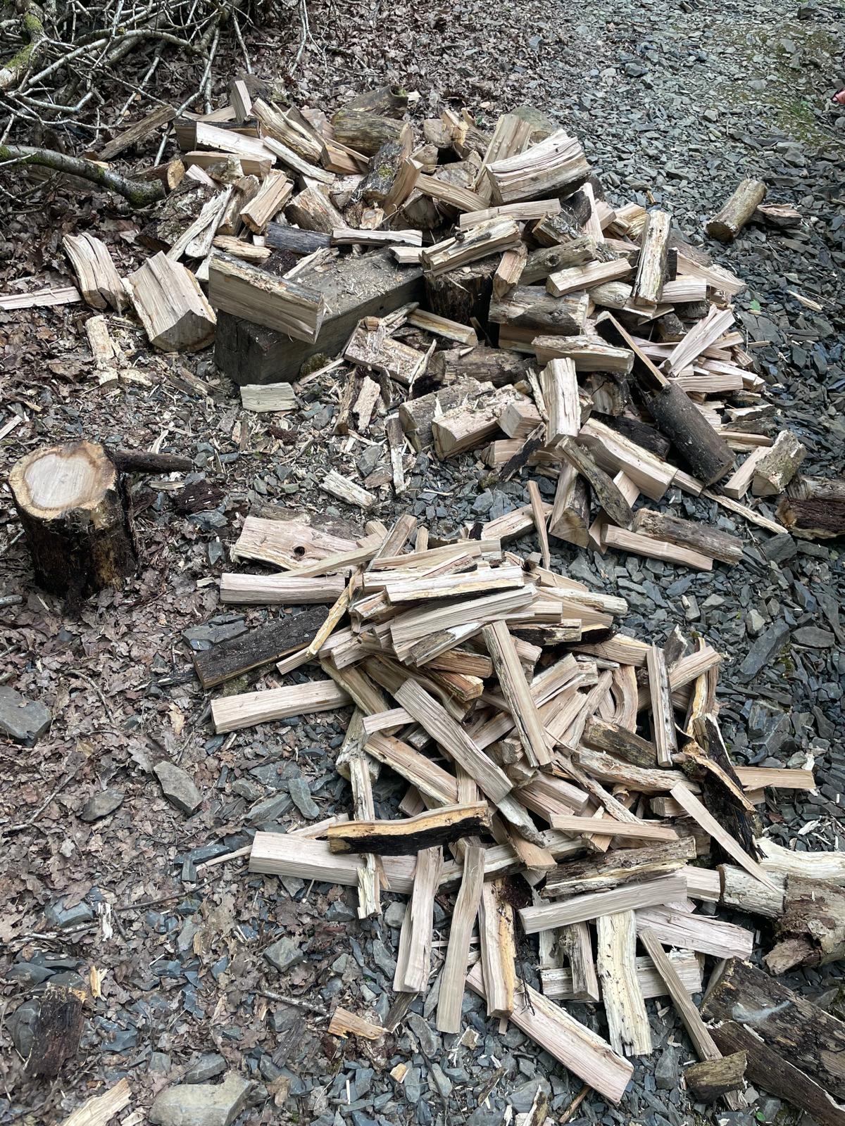 Woodland clearing beside timber-clad cabin showing split firewood and axe block