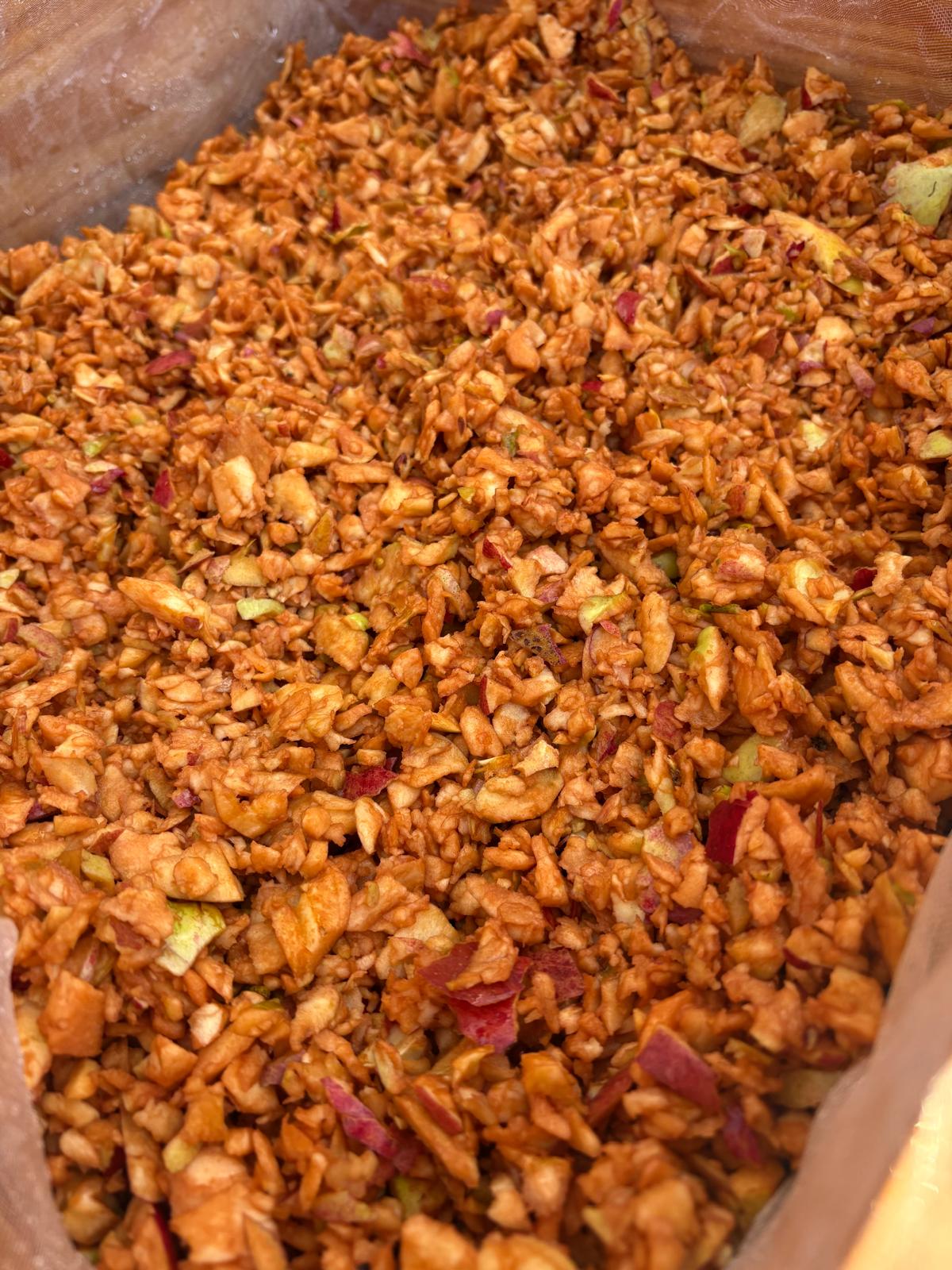Crushed fresh orchard apples prepared for pressing traditional cider in Carmarthenshire